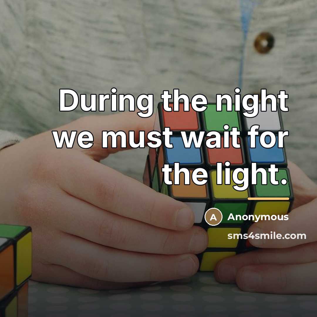 “During the night we must wait for the light.…” quote by Anonymous