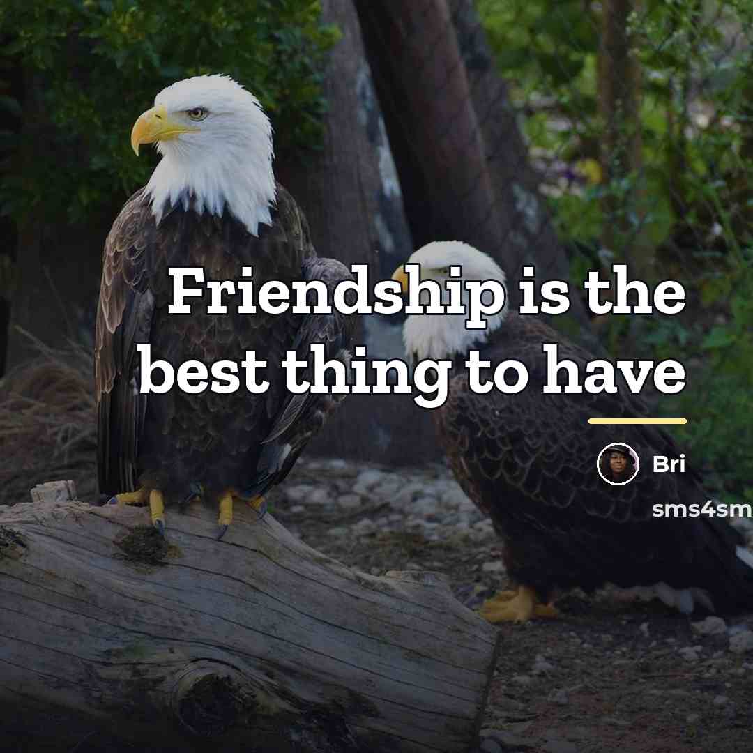 “Friendship is the best thing to have…” quote by Bri