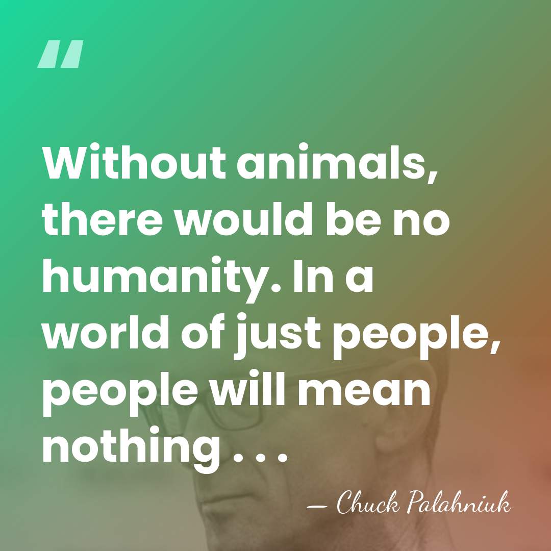 Without animals, there would be no humanity. In a world of just&hellip; - Chuck Palahniuk