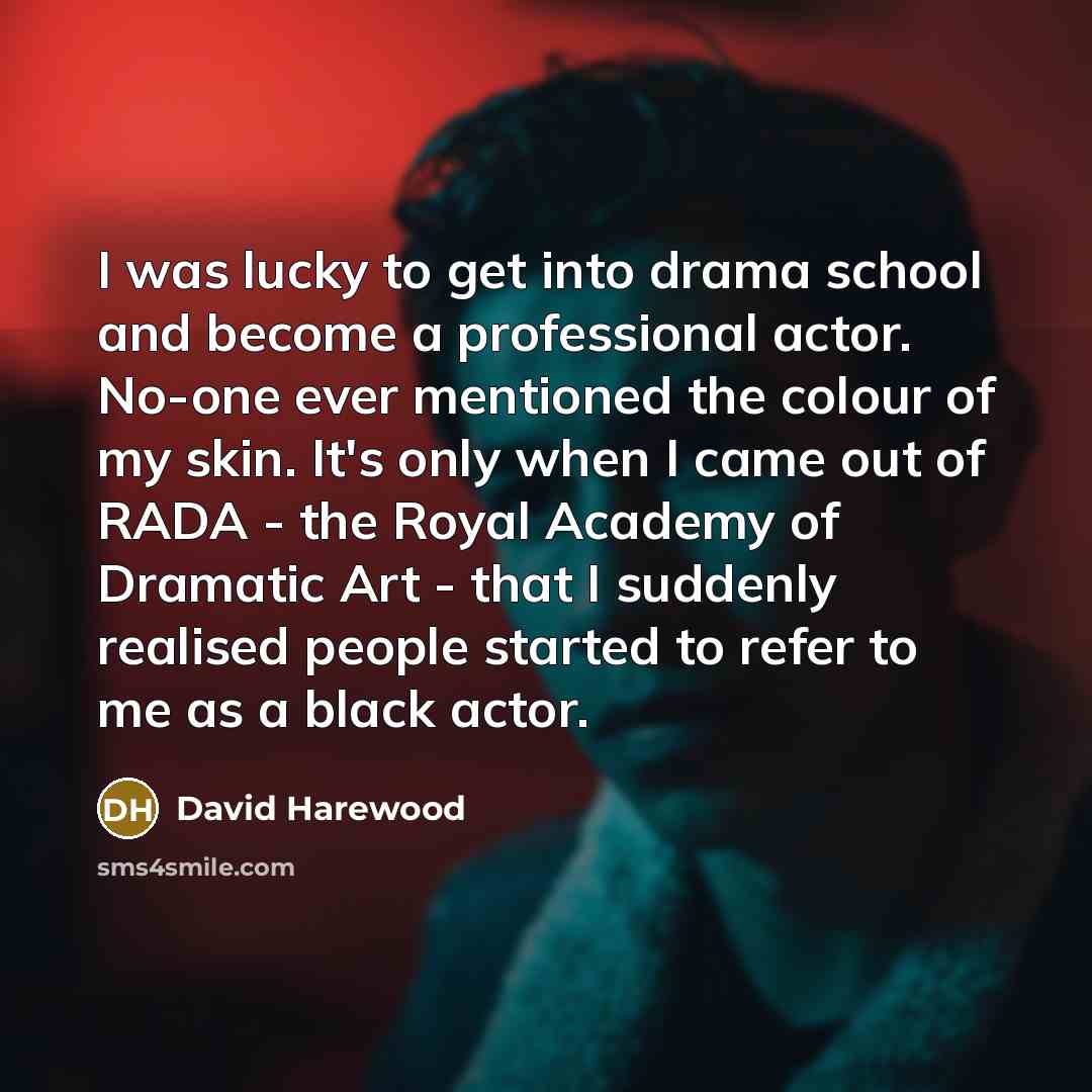 “I was lucky to get into drama school and become…” quote by David Harewood