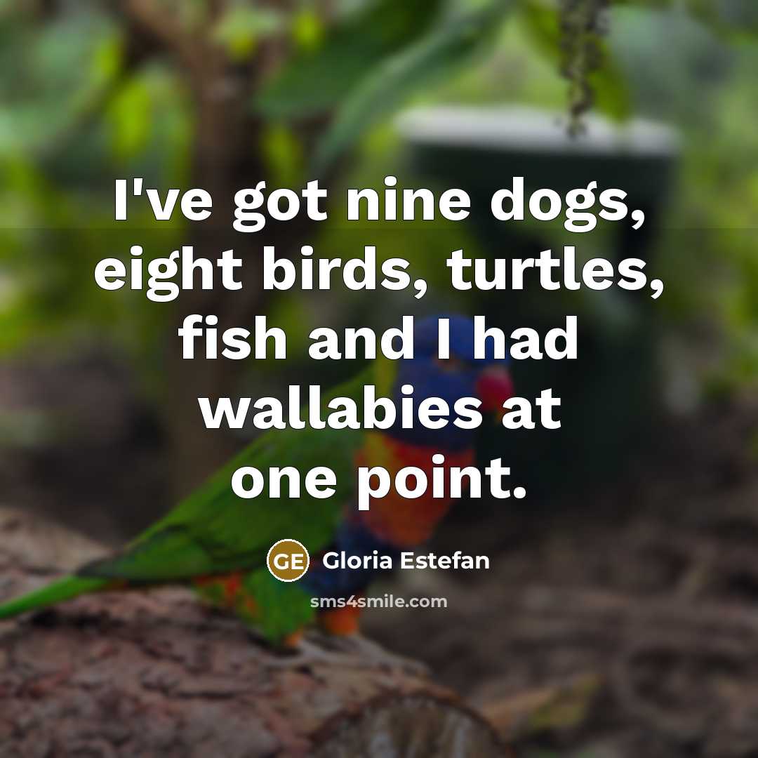 “I've got nine dogs, eight birds, turtles, fish and I…” quote by Gloria Estefan