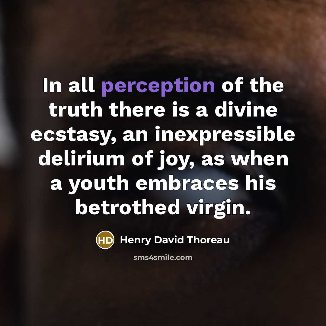 “In all perception of the truth there is a divine…” quote by Henry David Thoreau