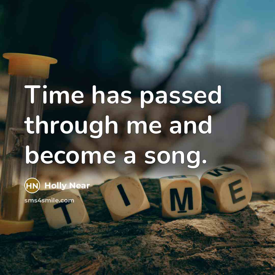 “Time has passed through me and become a song.…” quote by Holly Near