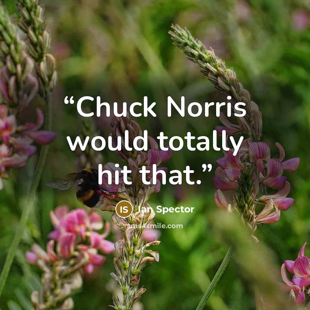 “Chuck Norris would totally hit that.” quote by Ian Spector
