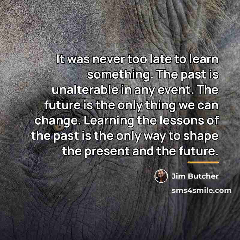“It was never too late to learn something. The past…” quote by Jim Butcher