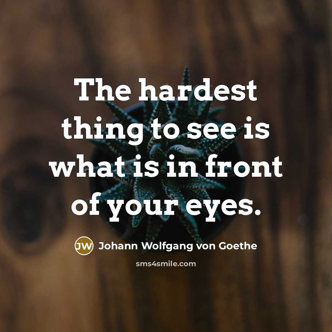 “The hardest thing to see is what is in front of your eyes.” quote by Johann Wolfgang von Goethe