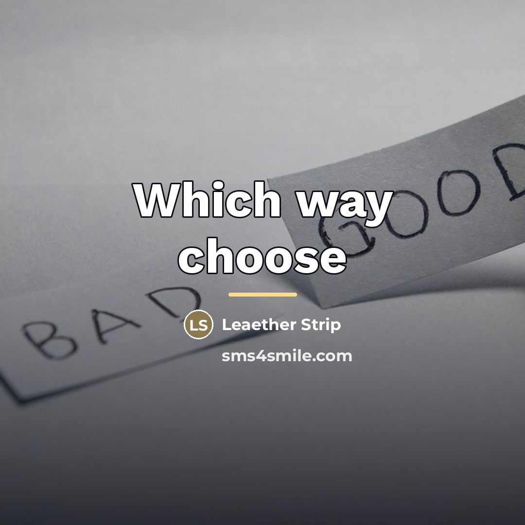 “Which way choose…” quote by Leaether Strip