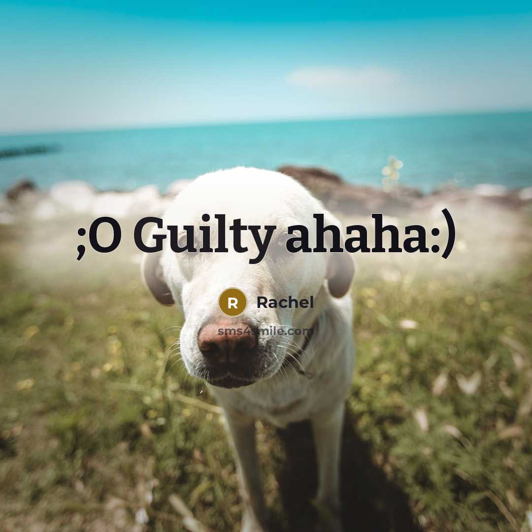 “;O Guilty ahaha:)…” quote by Rachel