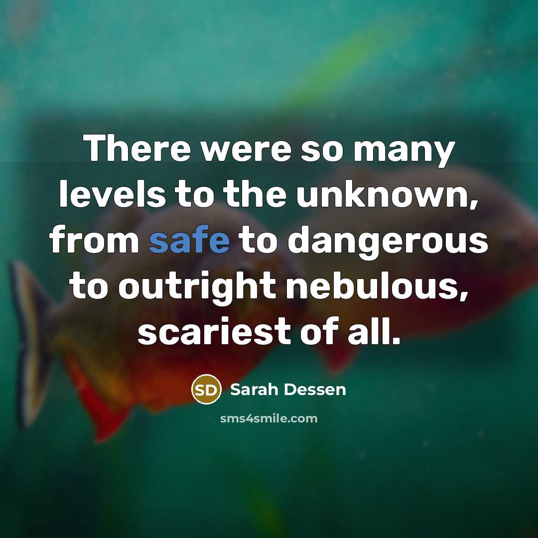 “There were so many levels to the unknown, from safe…” quote by Sarah Dessen