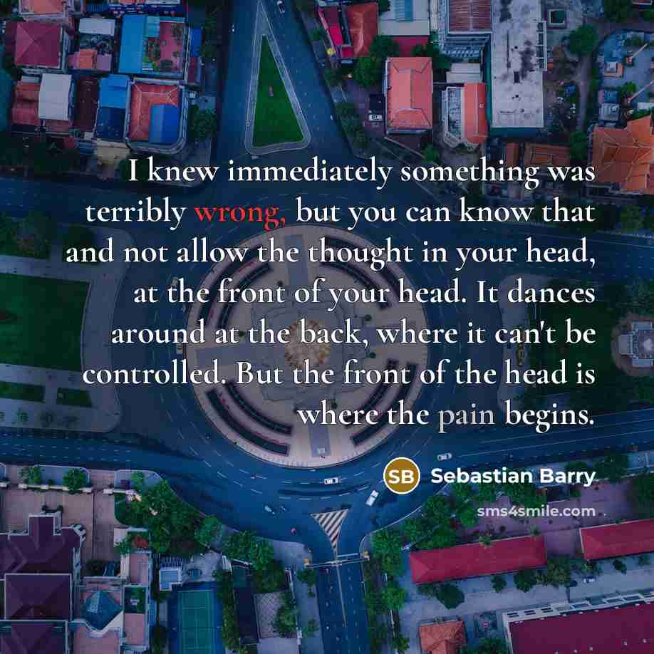 “I knew immediately something was terribly wrong, but you can…” quote by Sebastian Barry