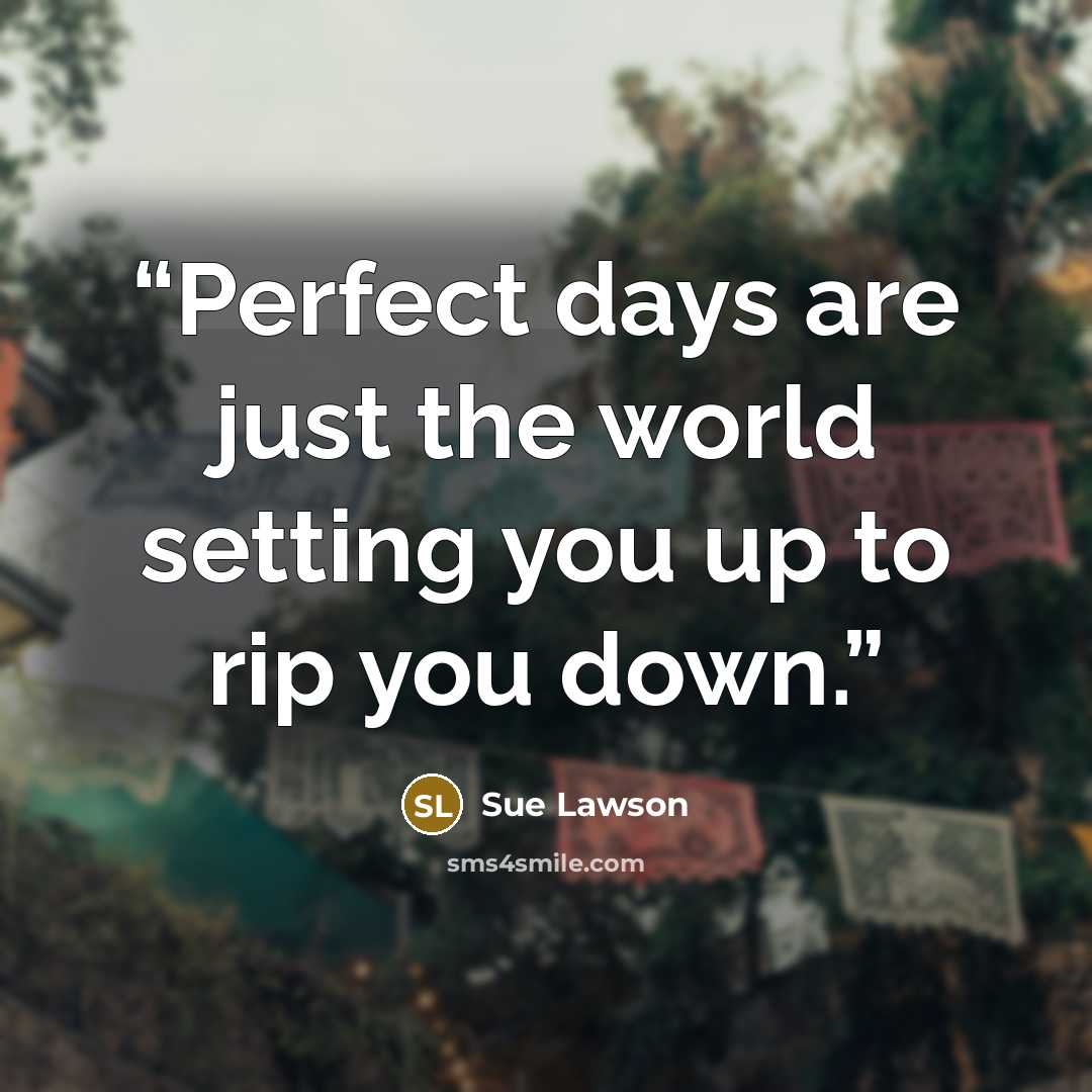 “Perfect days are just the world setting you up to rip you down.” quote by Sue Lawson