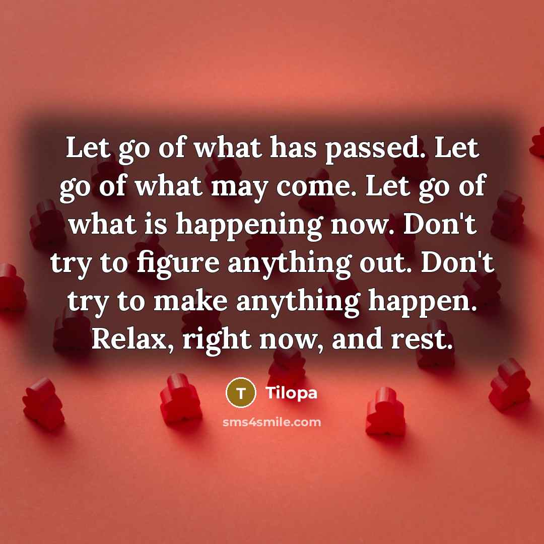 “Let go of what has passed. Let go of what…” quote by Tilopa