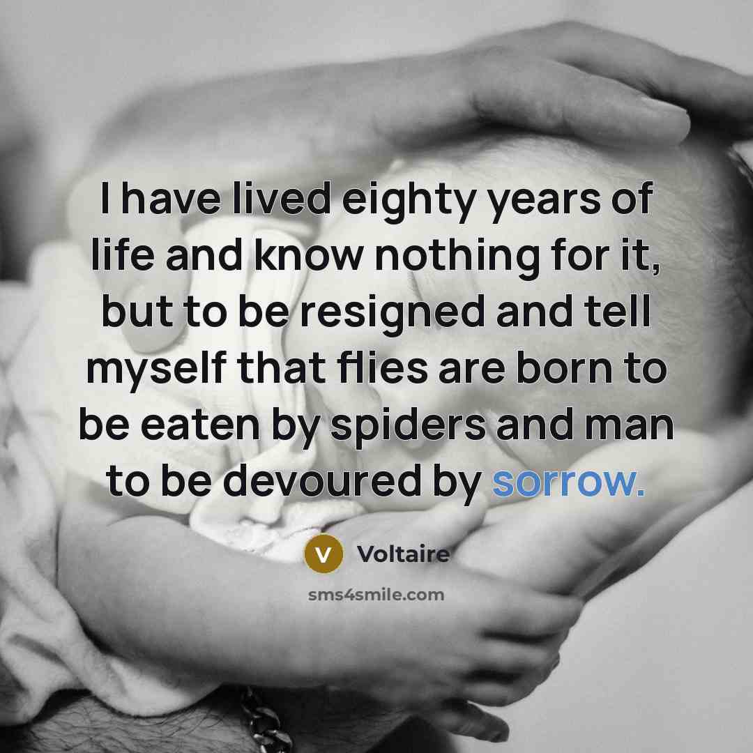“I have lived eighty years of life and know nothing…” quote by Voltaire