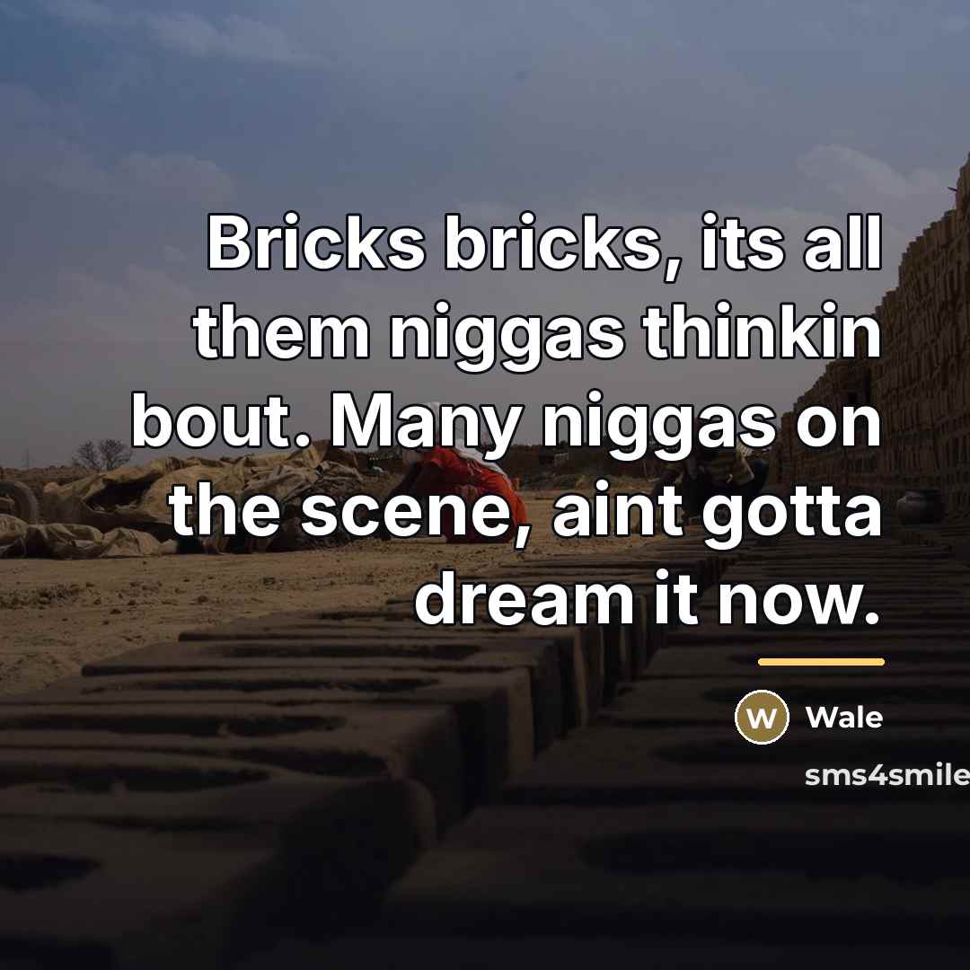 “Bricks bricks, its all them niggas thinkin bout. Many niggas…” quote by Wale