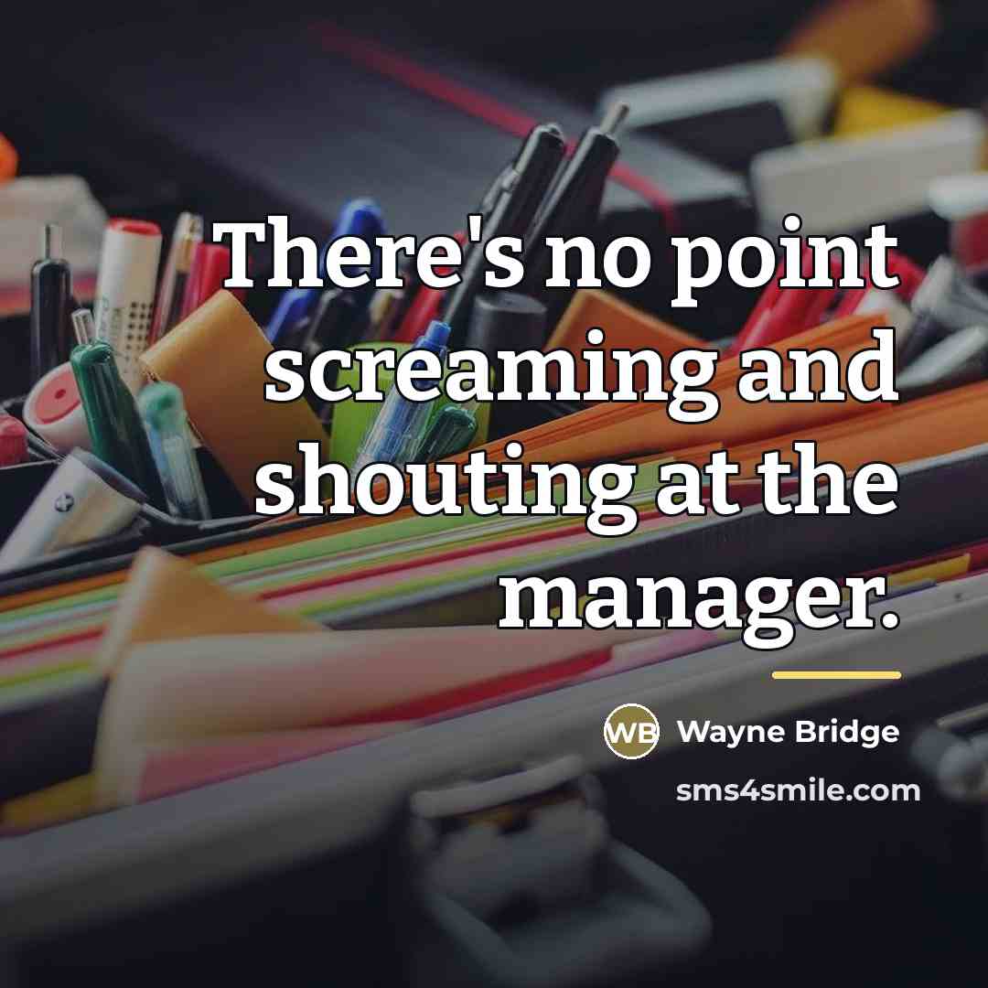 “There's no point screaming and shouting at the manager.…” quote by Wayne Bridge