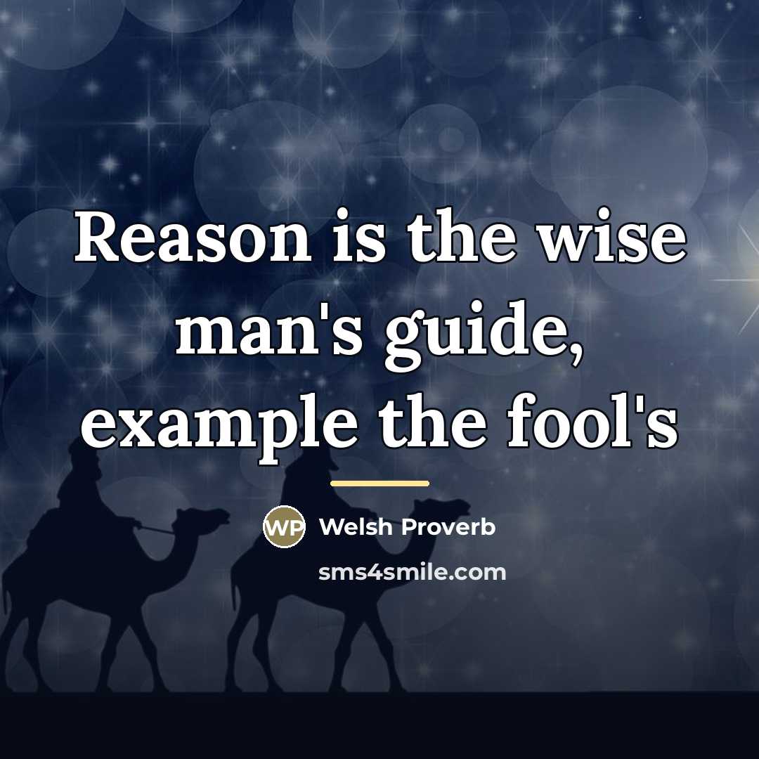 “Reason is the wise man's guide, example the fool's…” quote by Welsh Proverb