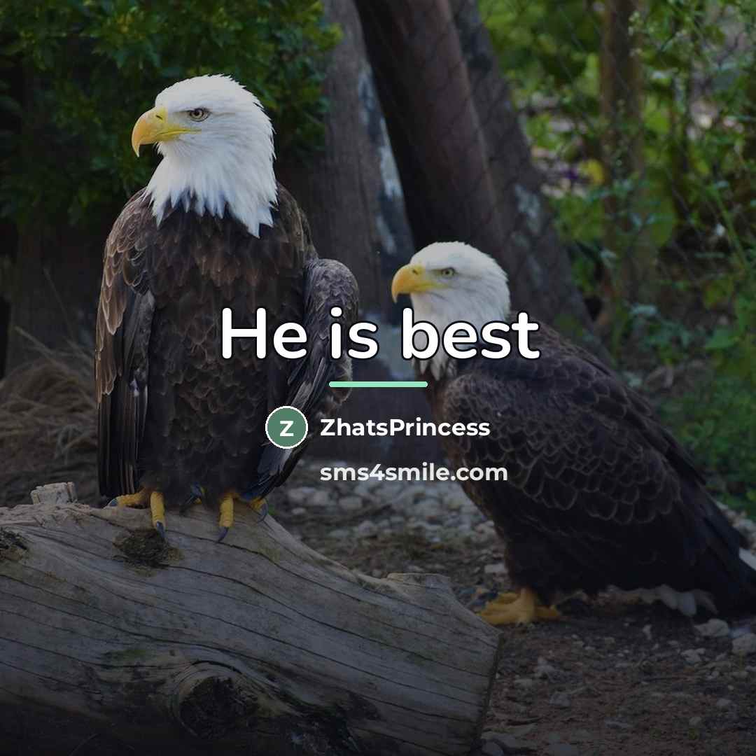 “He is best…” quote by ZhatsPrincess