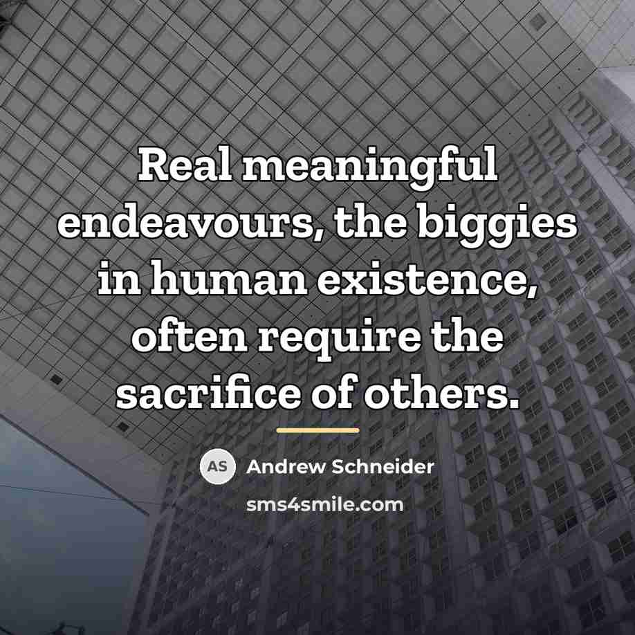 “Real meaningful endeavours, the biggies in human existence, often require…” quote by Andrew Schneider