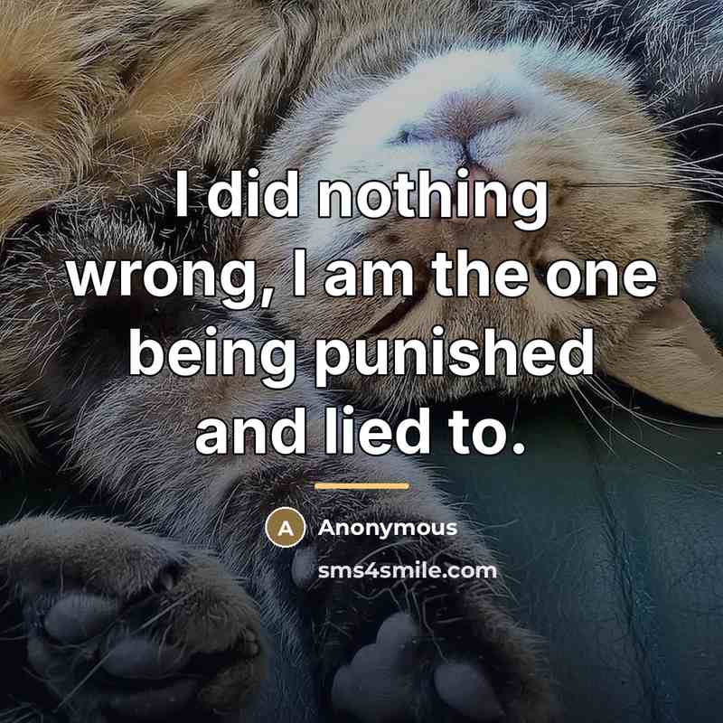 “I did nothing wrong, I am the one being punished…” quote by Anonymous