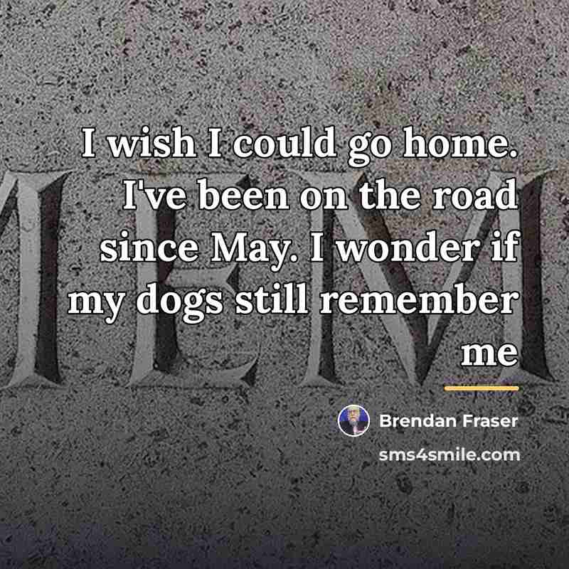 “I wish I could go home. I've been on the…” quote by Brendan Fraser