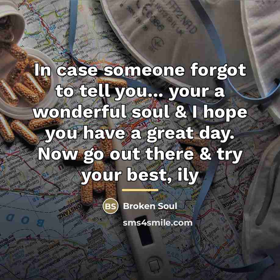 “In case someone forgot to tell you... your a wonderful…” quote by Broken Soul