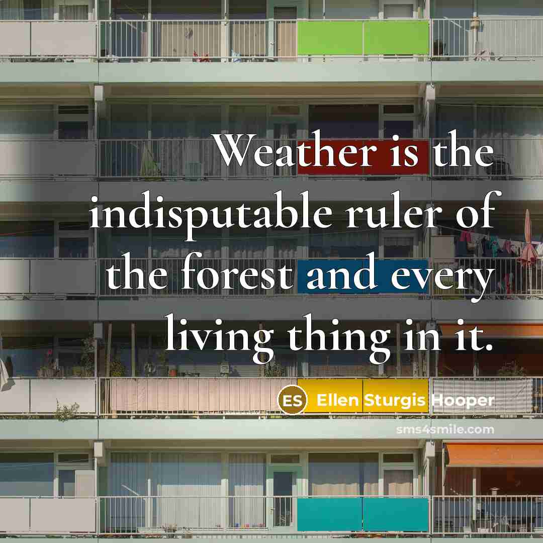 “Weather is the indisputable ruler of the forest and every living thing in it.” quote by Ellen Sturgis Hooper