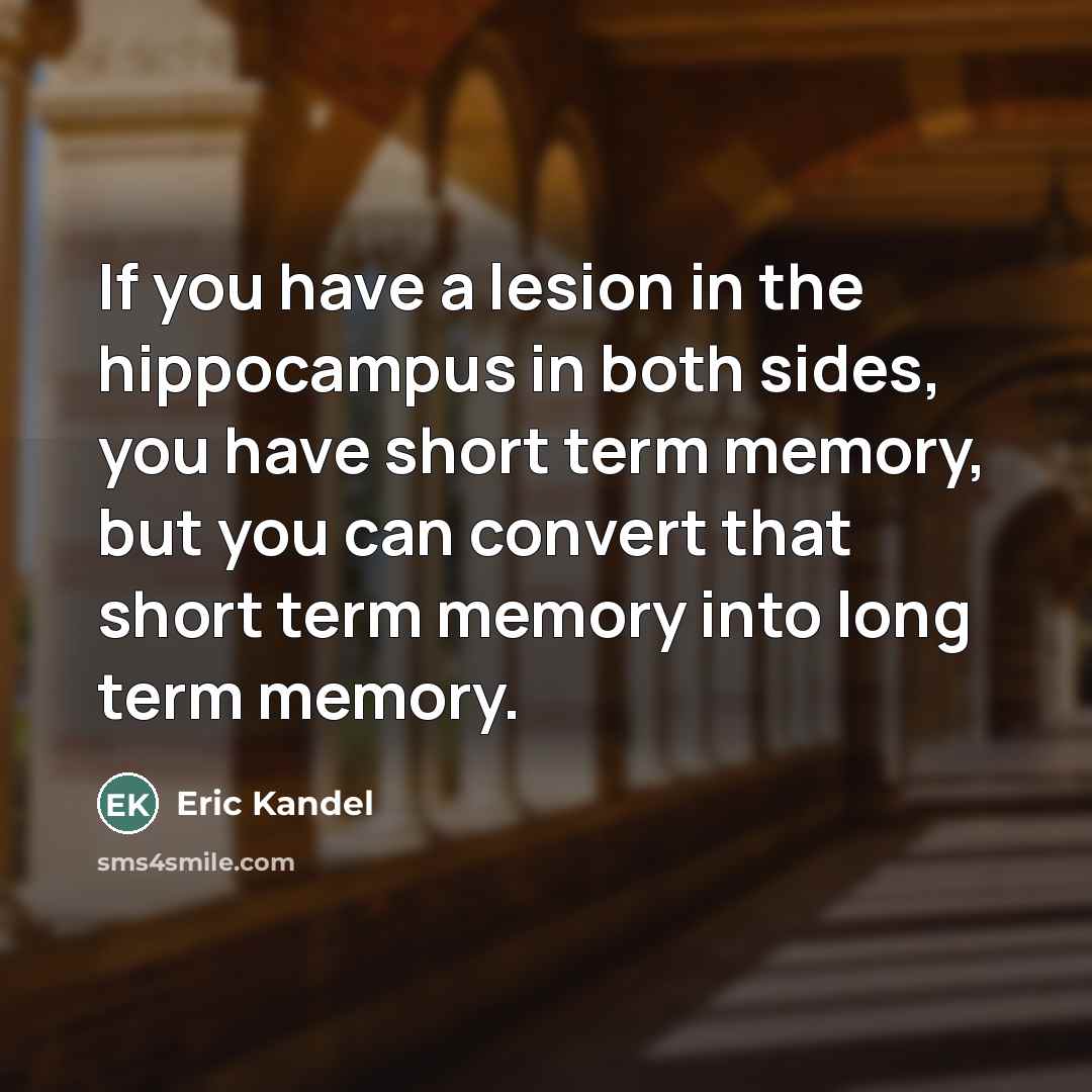 “If you have a lesion in the hippocampus in both…” quote by Eric Kandel