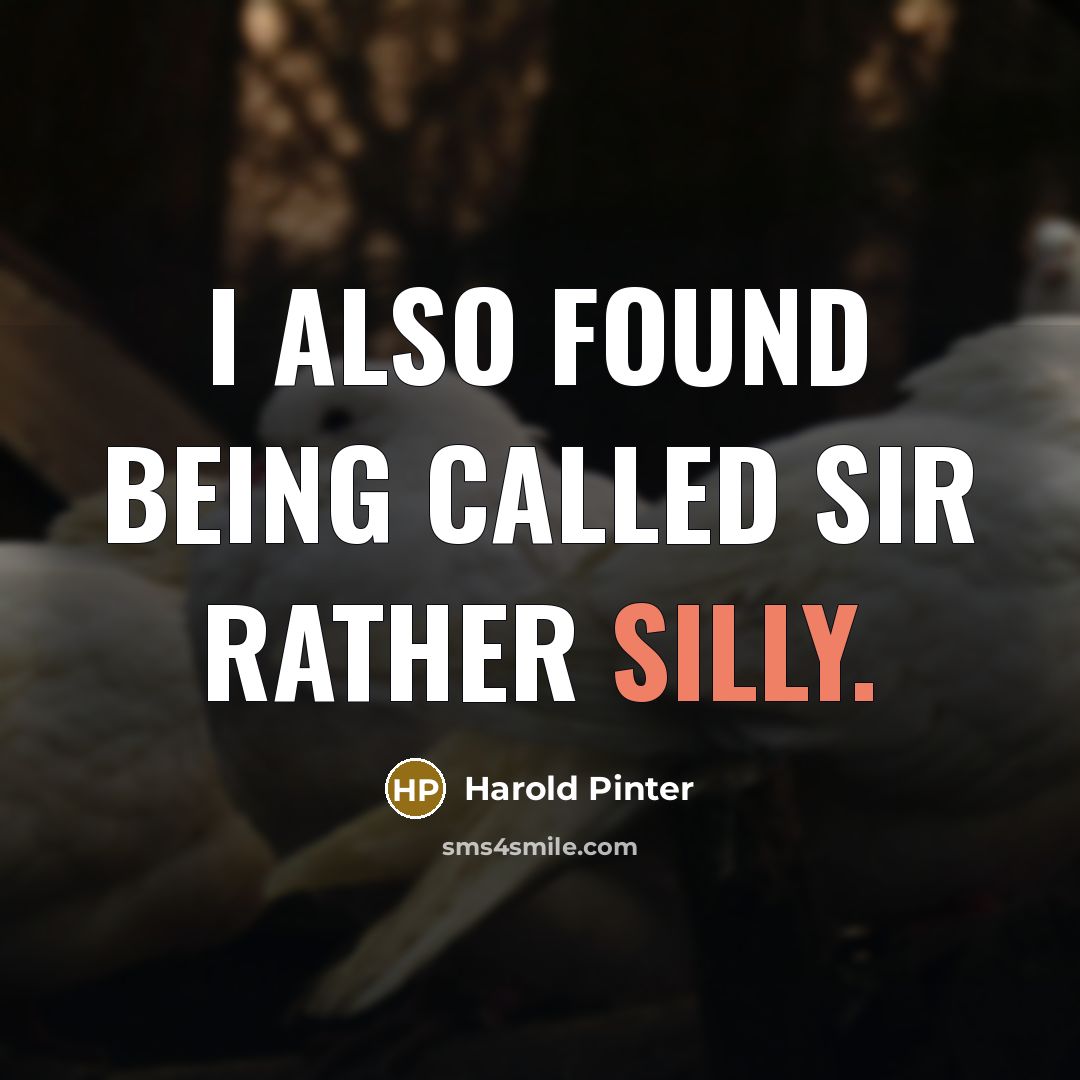 “I also found being called Sir rather silly.” quote by Harold Pinter
