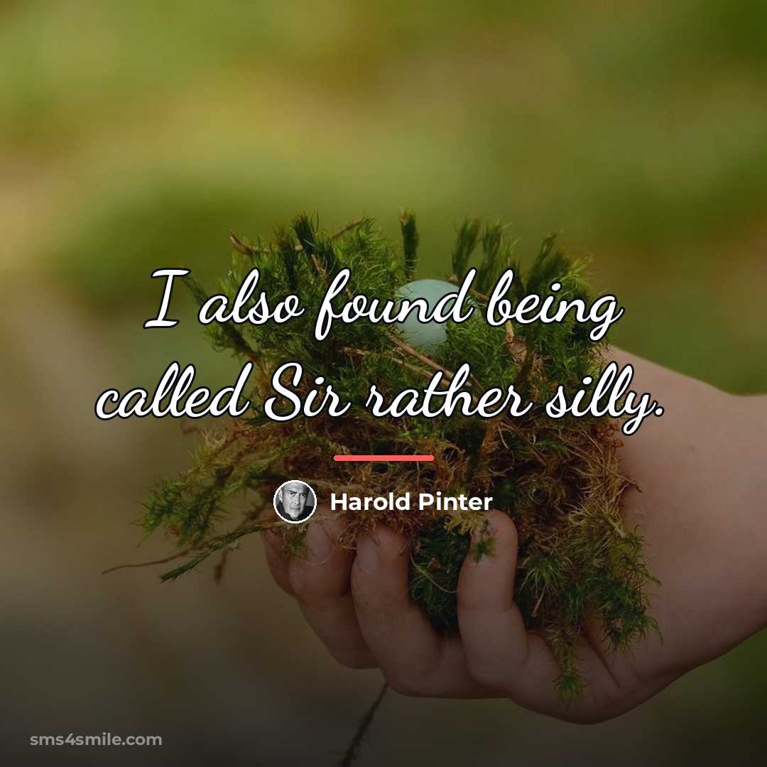 “I also found being called Sir rather silly.…” quote by Harold Pinter