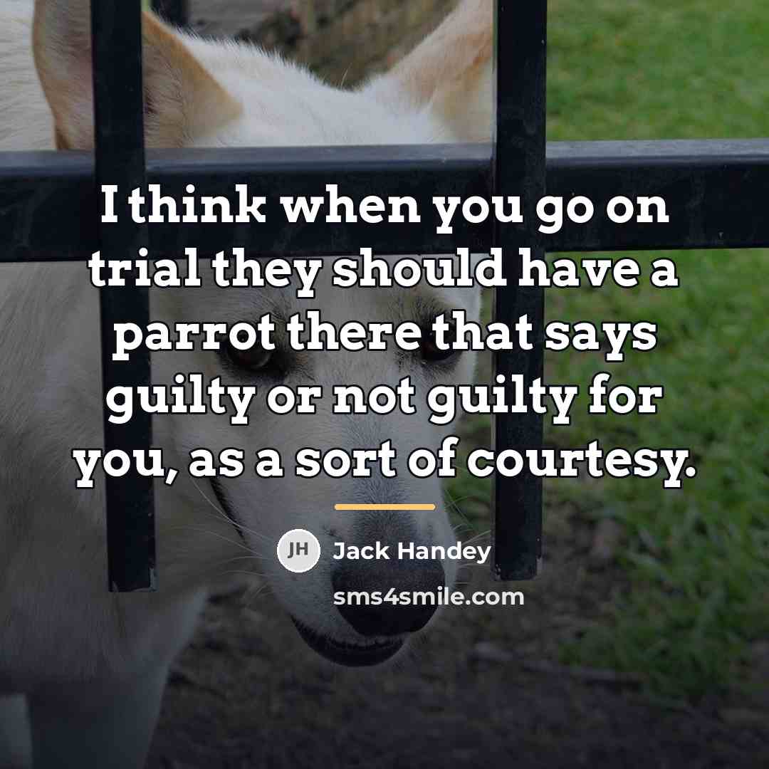“I think when you go on trial they should have…” quote by Jack Handey