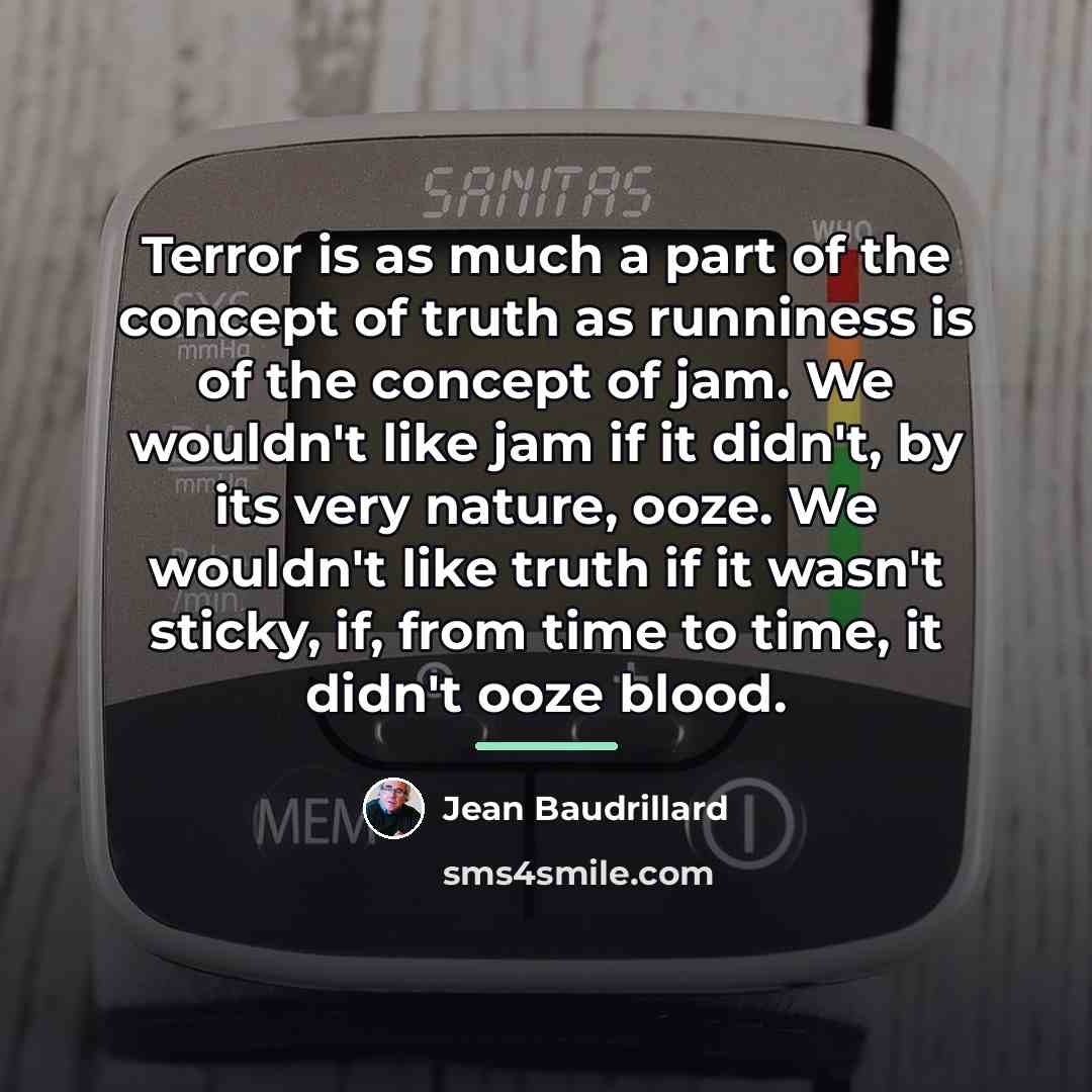 “Terror is as much a part of the concept of…” quote by Jean Baudrillard