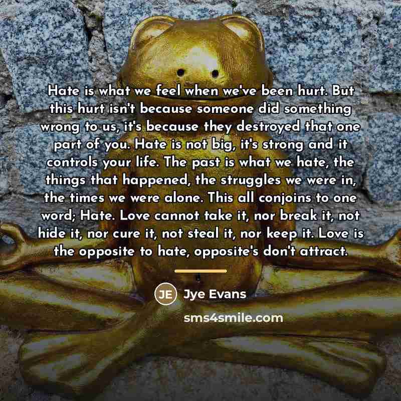 “Hate is what we feel when we've been hurt. But…” quote by Jye Evans