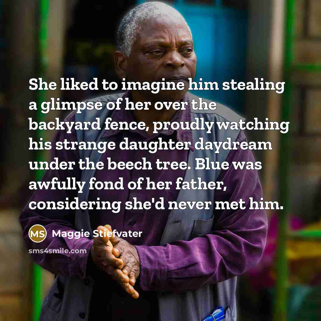 “She liked to imagine him stealing a glimpse of her…” quote by Maggie Stiefvater