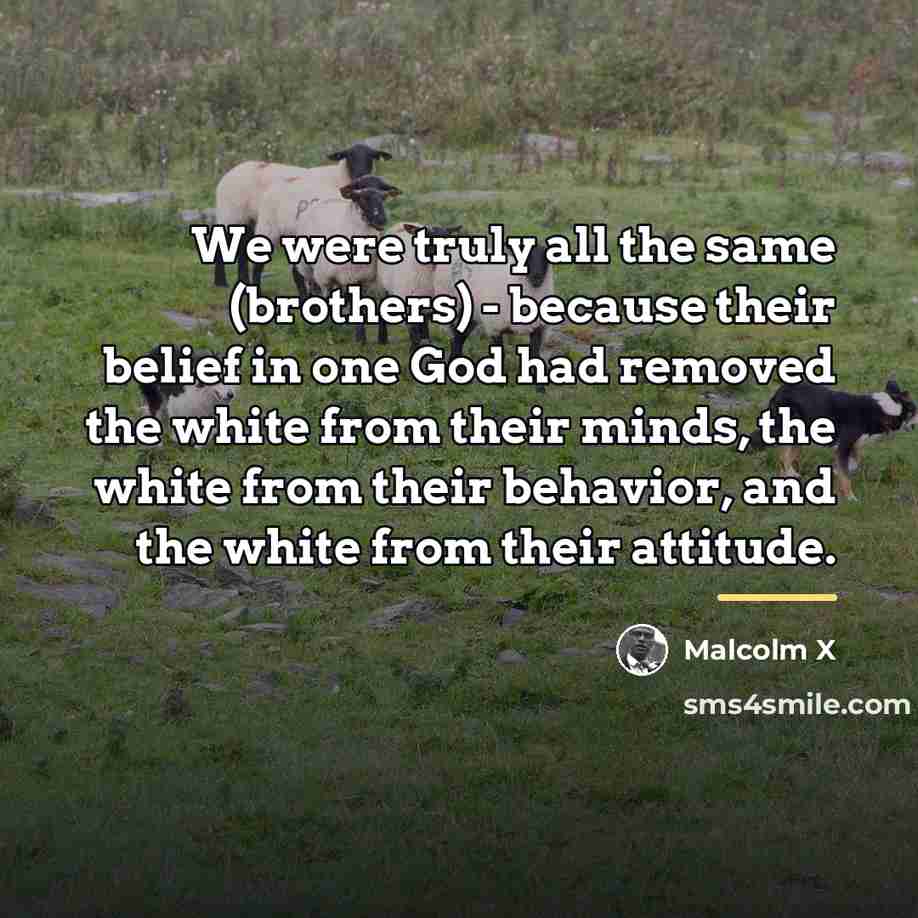 “We were truly all the same (brothers) - because their…” quote by Malcolm X