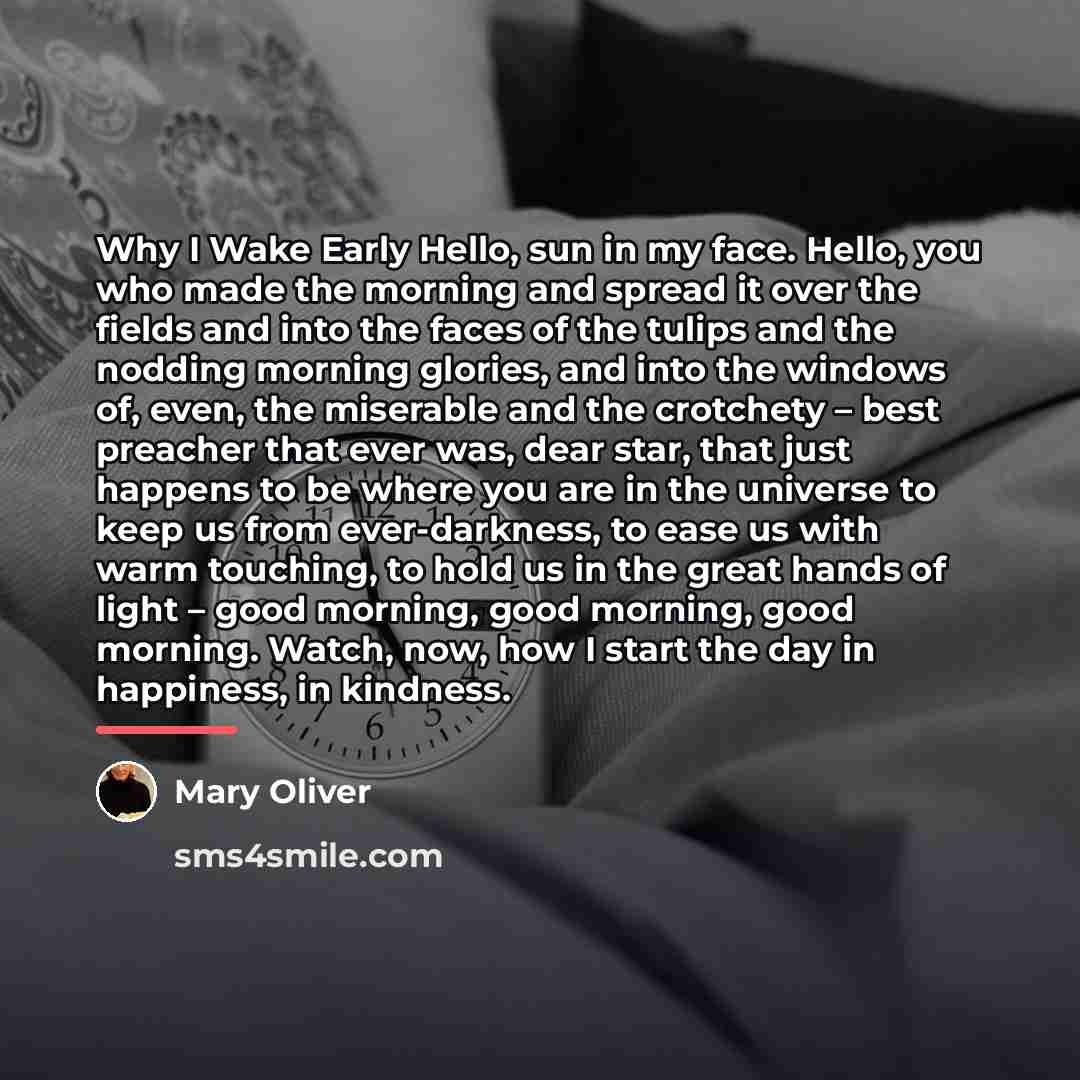 “Why I Wake Early Hello, sun in my face. Hello,…” quote by Mary Oliver