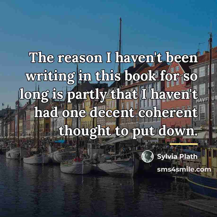 “The reason I haven't been writing in this book for…” quote by Sylvia Plath