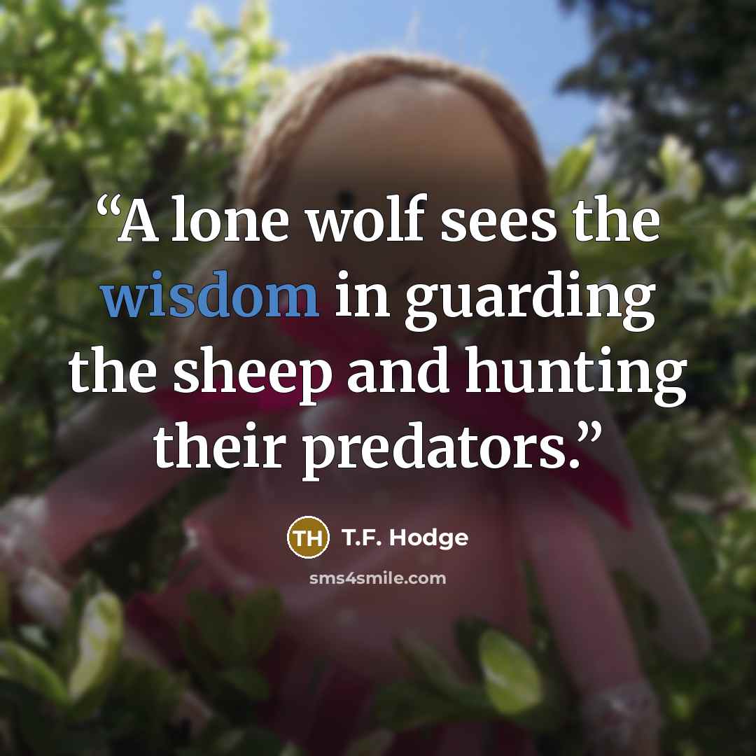 “A lone wolf sees the wisdom in guarding the sheep and hunting their predators.” quote by T.F. Hodge