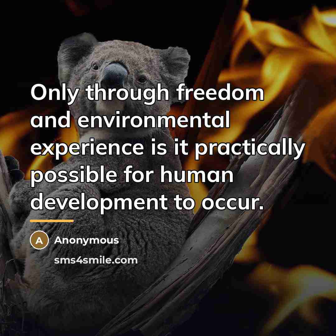 “Only through freedom and environmental experience is it practically possible…” quote by Anonymous