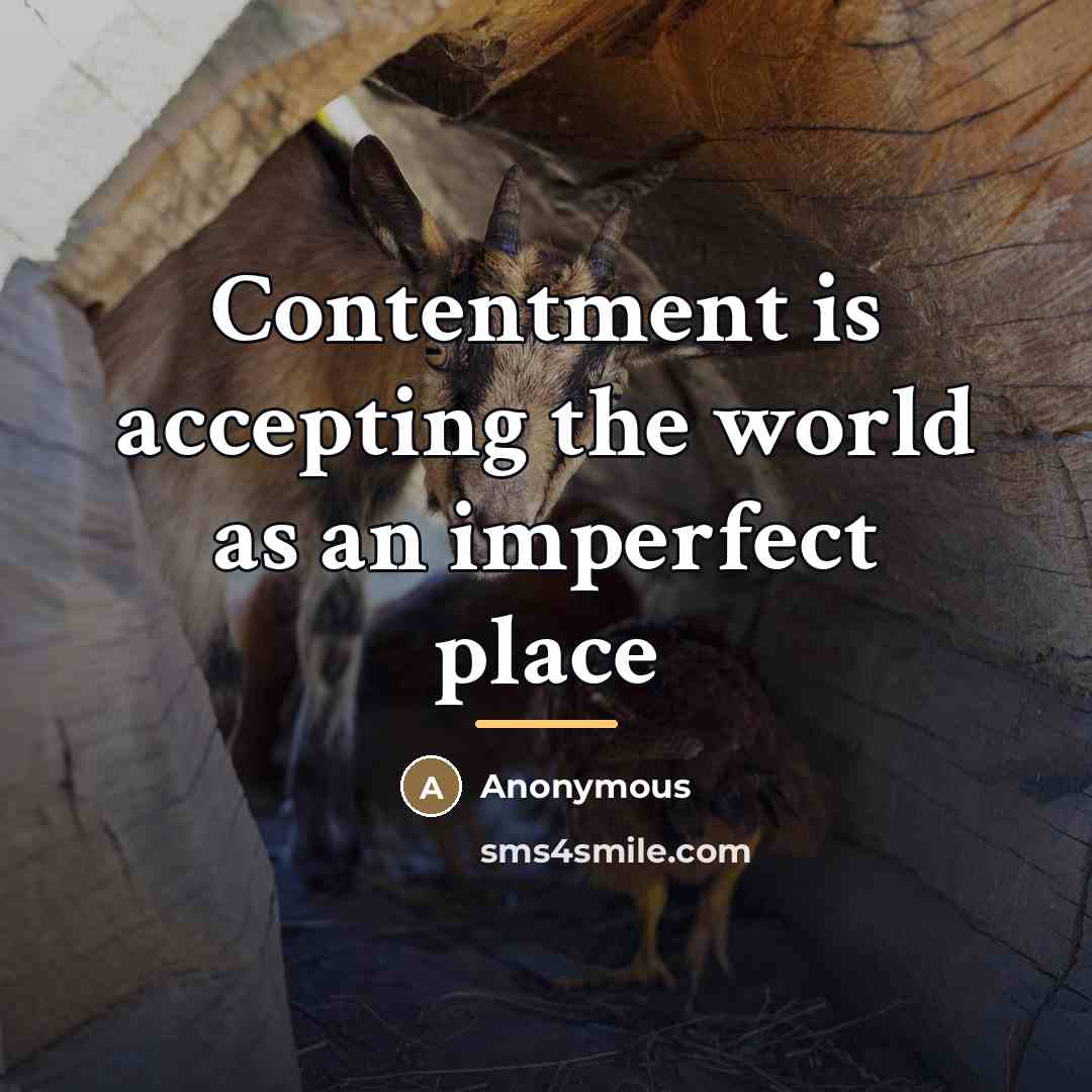 “Contentment is accepting the world as an imperfect place…” quote by Anonymous