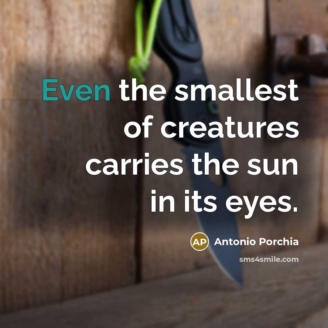 “Even the smallest of creatures carries the sun in its…” quote by Antonio Porchia