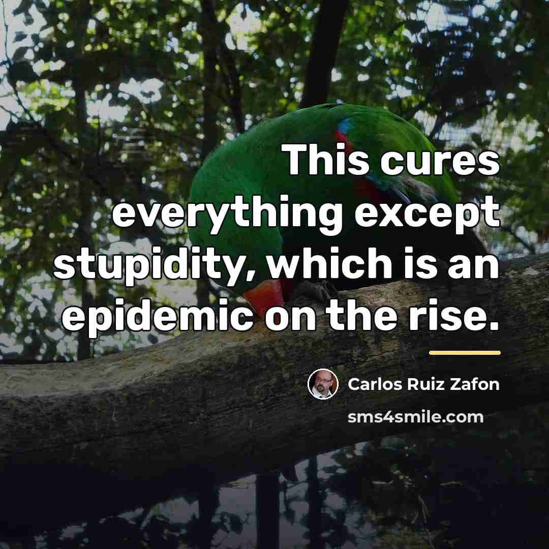 “This cures everything except stupidity, which is an epidemic on…” quote by Carlos Ruiz Zafon