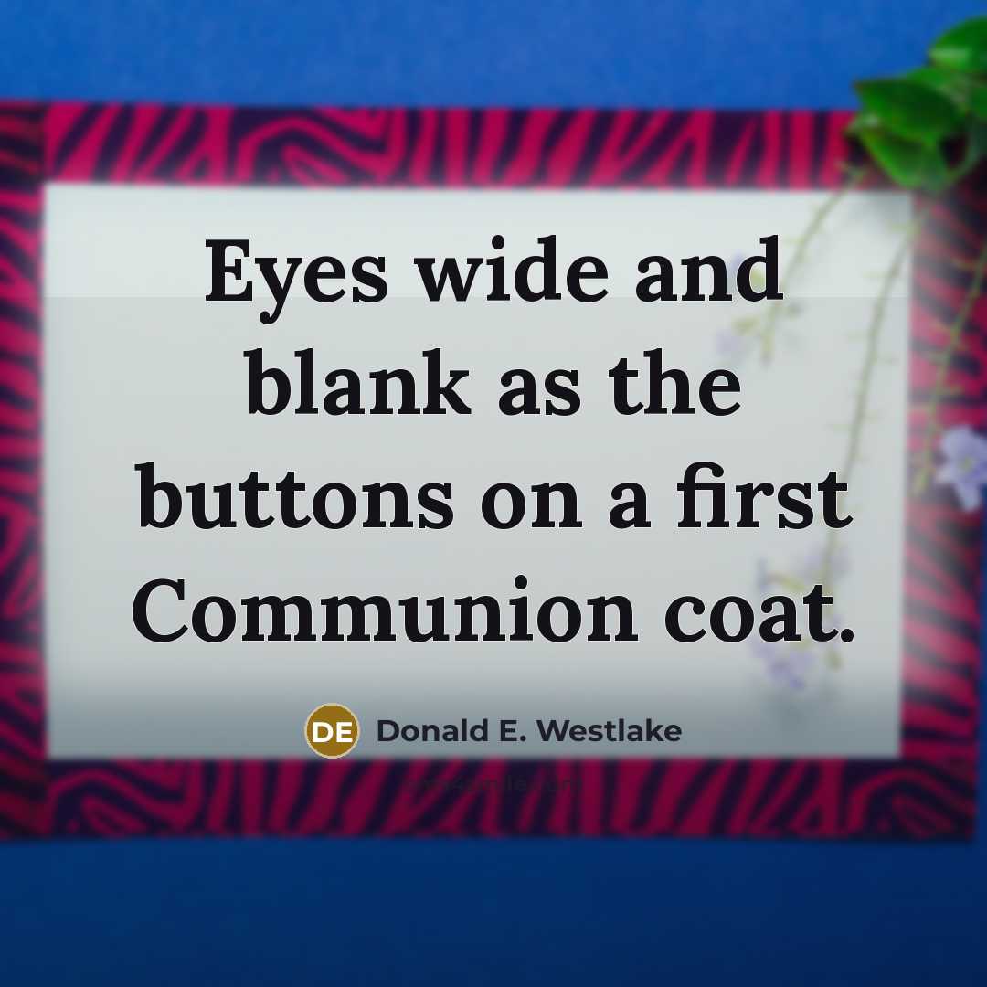 “Eyes wide and blank as the buttons on a first…” quote by Donald E. Westlake