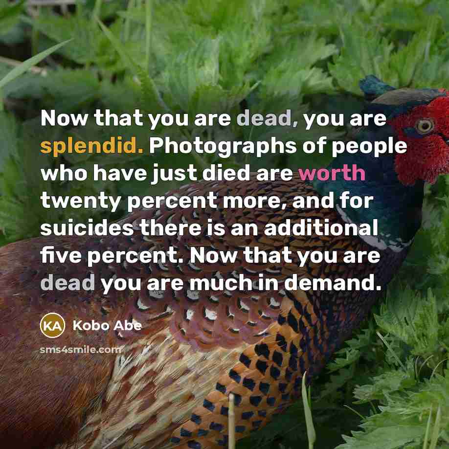 “Now that you are dead, you are splendid. Photographs of…” quote by Kobo Abe