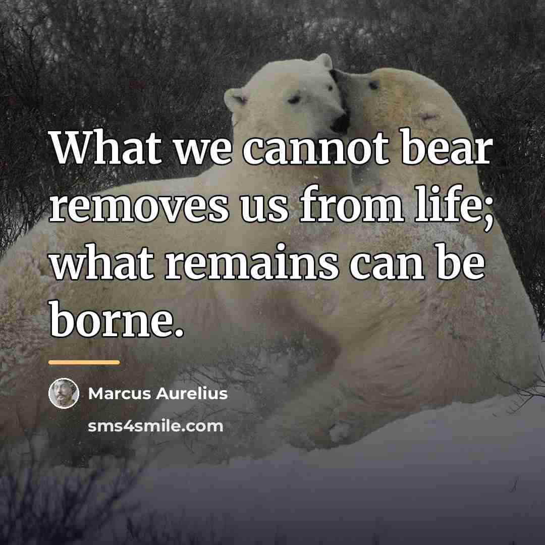 “What we cannot bear removes us from life; what remains…” quote by Marcus Aurelius