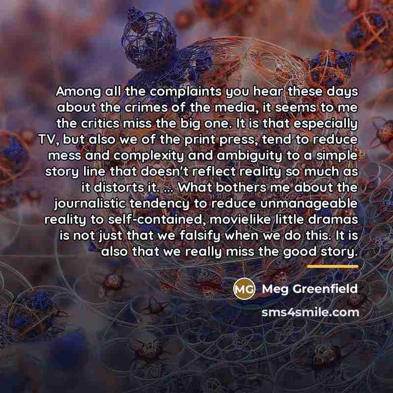 “Among all the complaints you hear these days about the…” quote by Meg Greenfield