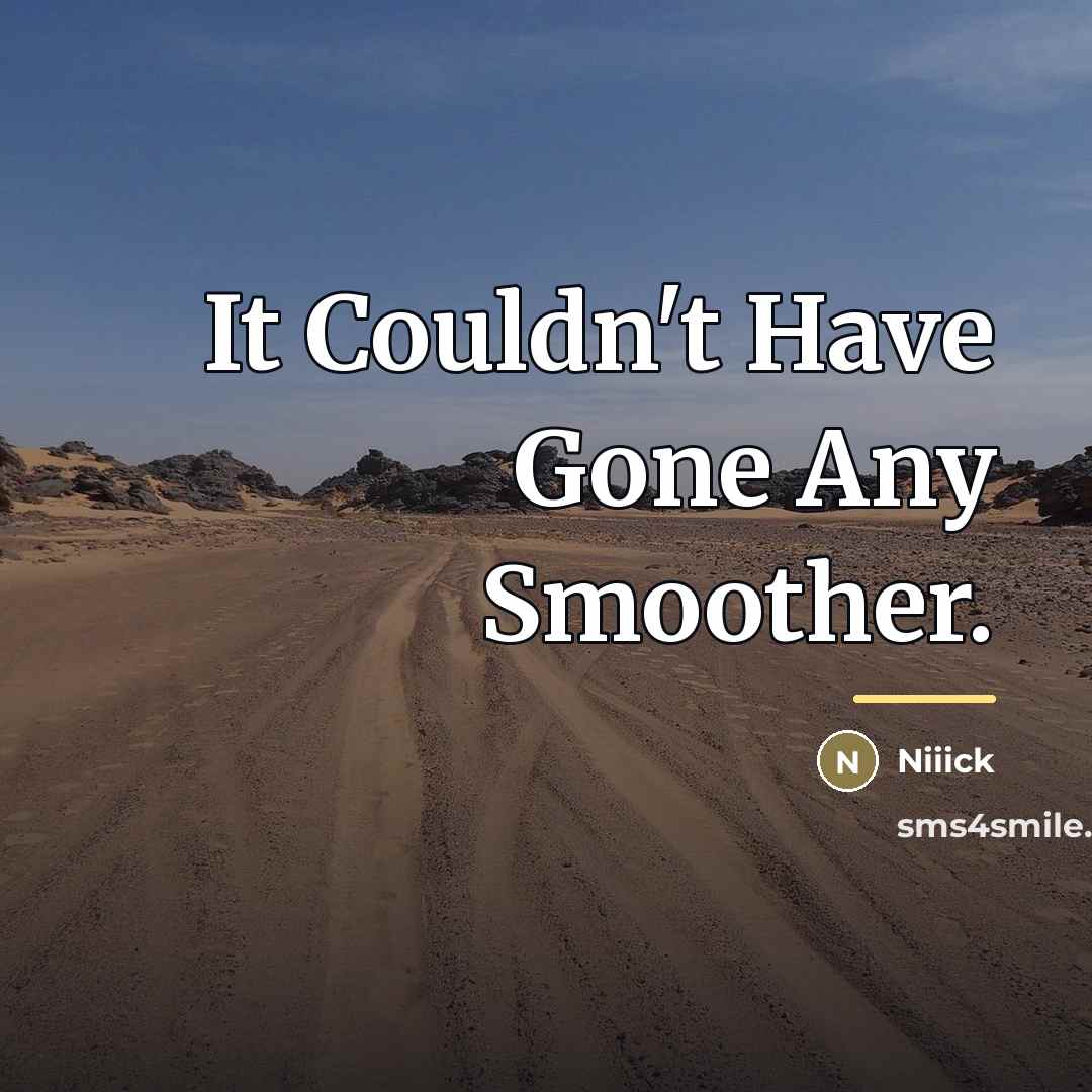 “It Couldn't Have Gone Any Smoother.…” quote by Niiick