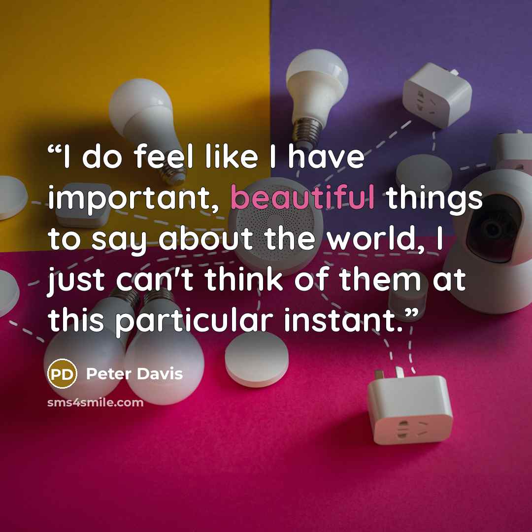 “I do feel like I have important, beautiful things to say about the world, I just can't think of them at this particular instant.” quote by Peter Davis