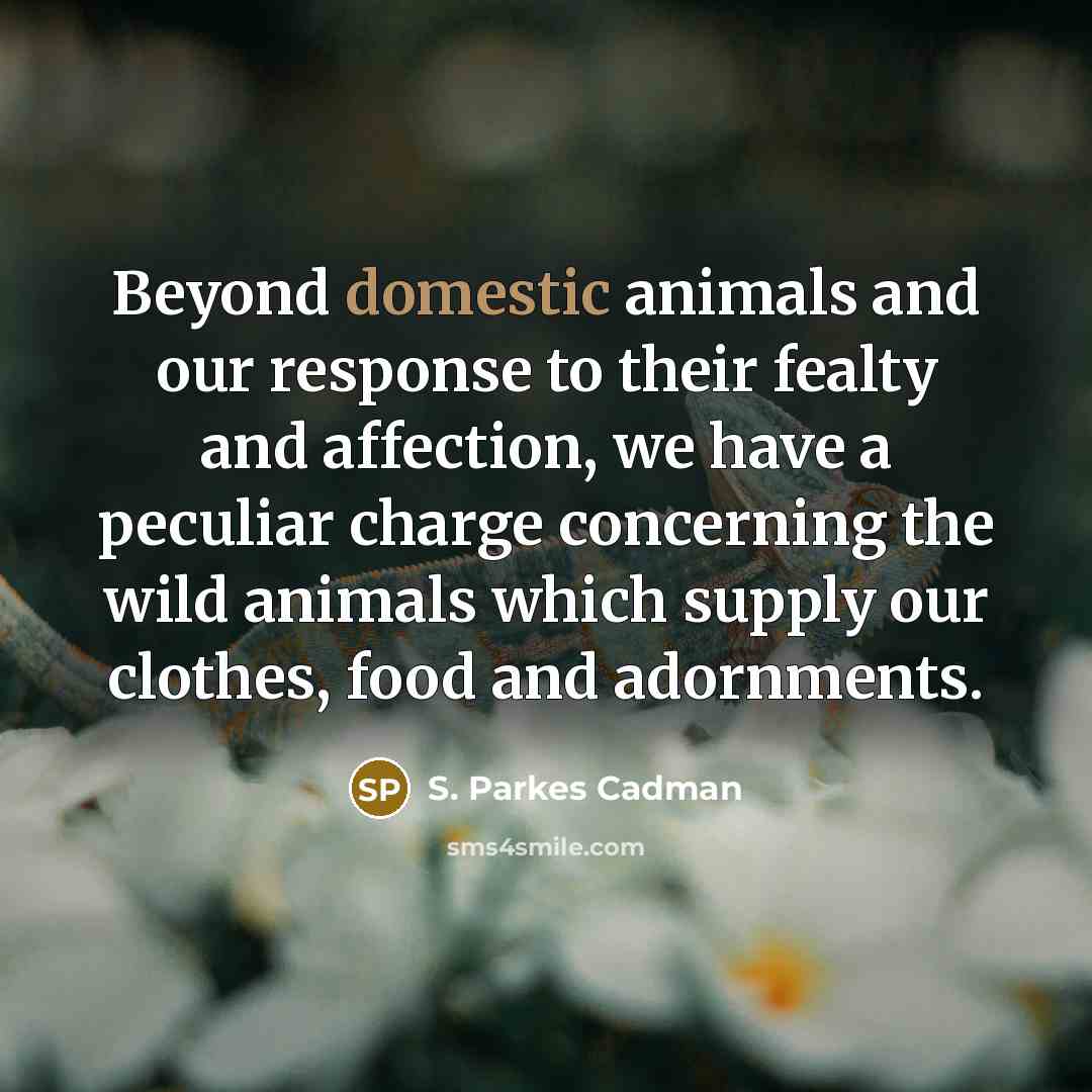 “Beyond domestic animals and our response to their fealty and…” quote by S. Parkes Cadman