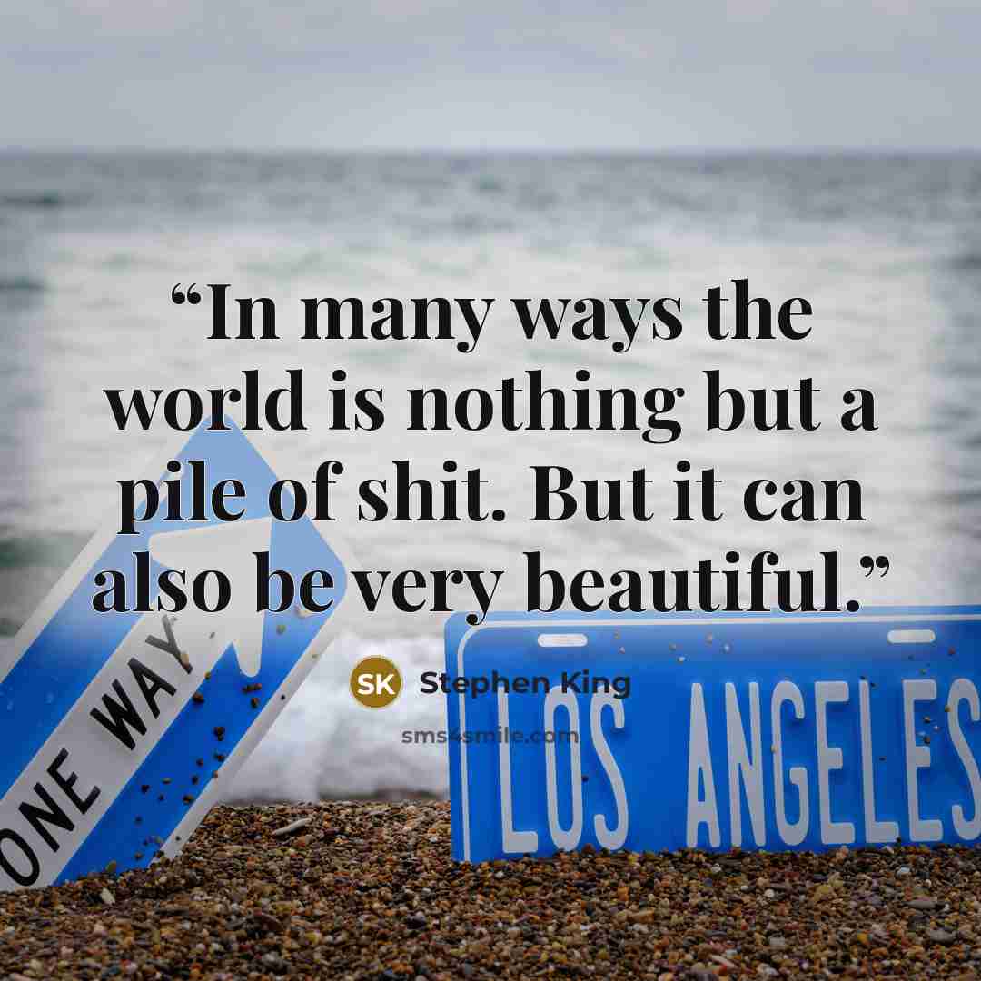 “In many ways the world is nothing but a pile of shit. But it can also be very beautiful.” quote by Stephen King