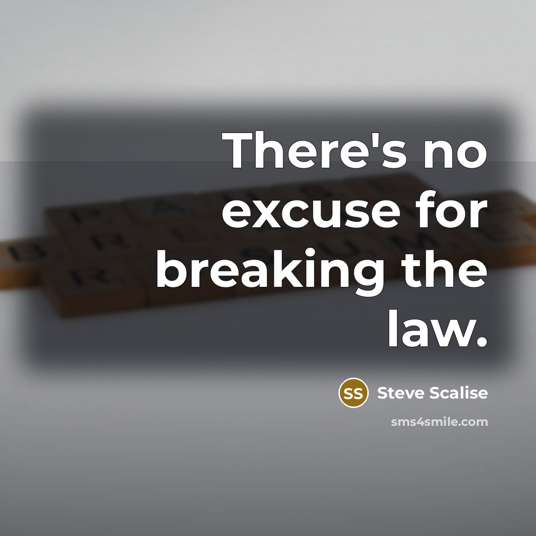 “There's no excuse for breaking the law.…” quote by Steve Scalise